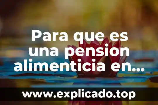 Que es una cadena alimenticia y cual es su importancia 3 Para que es una pension alimenticia en mexico