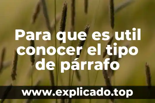 Para que es importante conocer al niño en donde trabajas 3 Para que es util conocer el tipo de párrafo