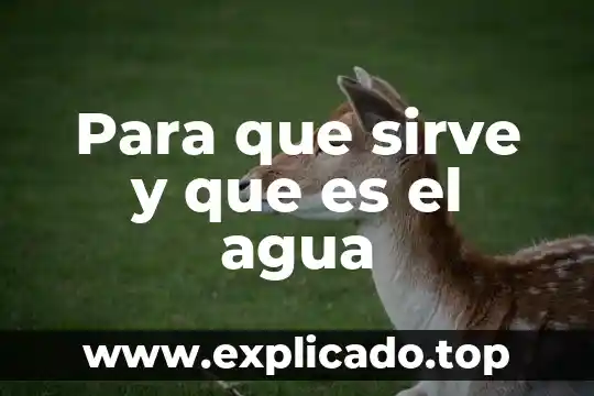 Para que sirve y que es el agua