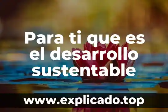 Que es tecnologia de informacion ti 8 Para ti que es el desarrollo sustentable