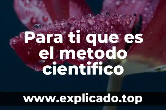 Para ti que es el desarrollo sustentable 4 Para ti que es el metodo cientifico