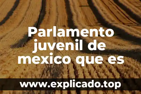 Que es acción juvenil 3 Parlamento juvenil de mexico que es