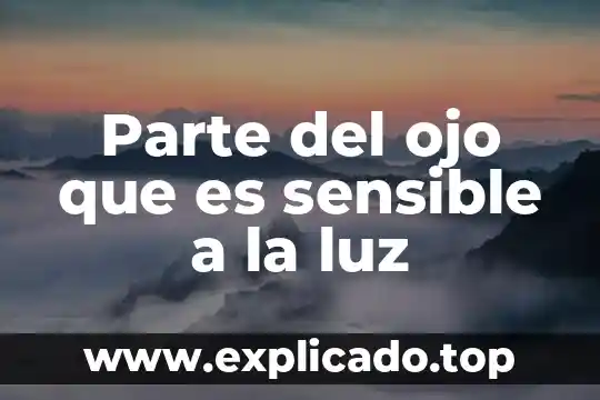 Que es cuando duele el ojo derecho 8 Parte del ojo que es sensible a la luz