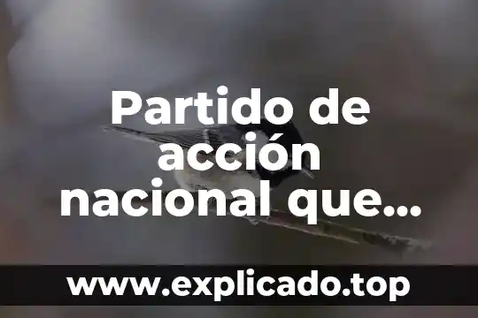 Partido de acción nacional que es