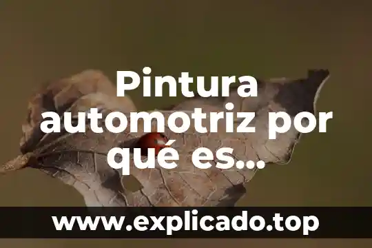 Que es pintura primarias 8 Pintura automotriz por qué es importante cursarla