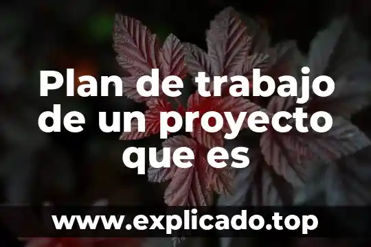 Proyecto de estudio que es 3 Plan de trabajo de un proyecto que es