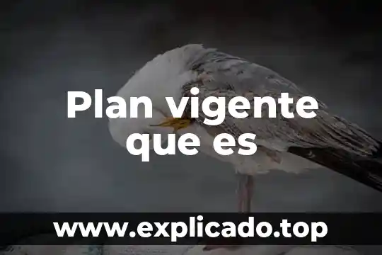 Que es un documento vigente 3 Plan vigente que es
