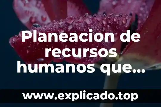 Planeacion de recursos humanos que es