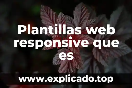 Que es contexto grafico 3 Plantillas web responsive que es