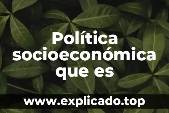 Que es la actaea en estructura socioeconomica de mexico 5 Política socioeconómica que es
