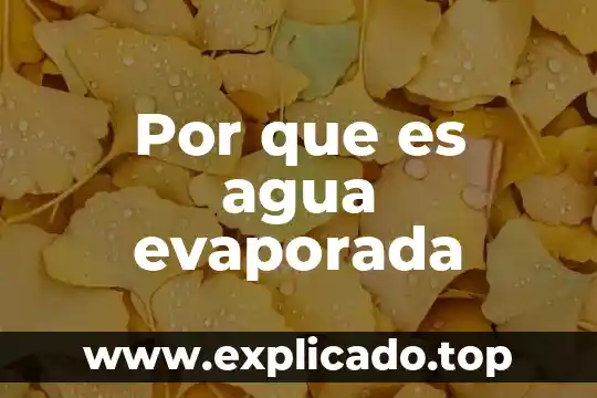 Por que es agua evaporada