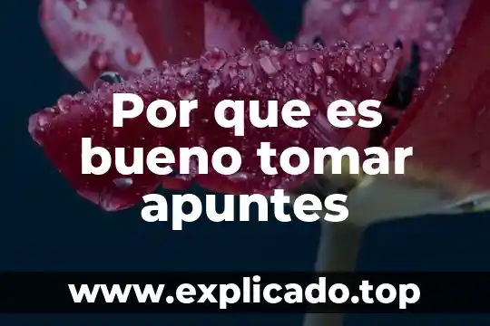 Qué es bueno tomar después de un legrado 3 Por que es bueno tomar apuntes