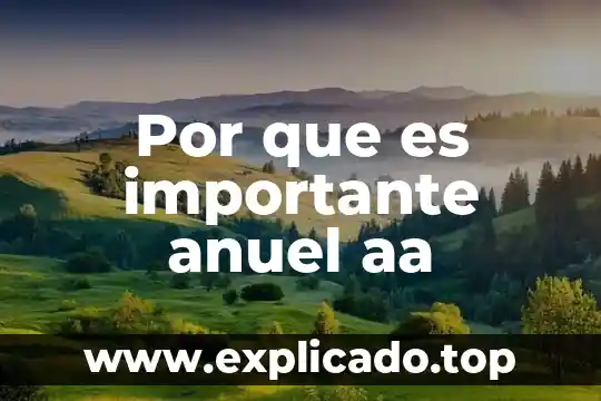 Por qué es importante una planeación 7 Por que es importante anuel aa