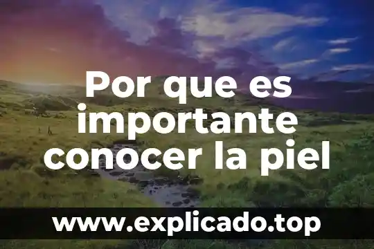 Para que es importante conocer al niño en donde trabajas 4 Por que es importante conocer la piel