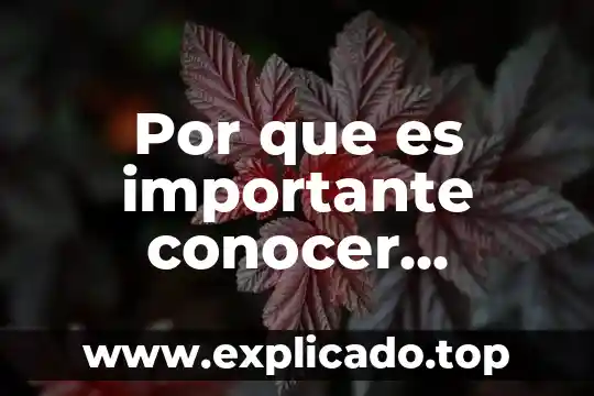 Para que es importante conocer al niño en donde trabajas 5 Por que es importante conocer nuestra riqueza cultural resumen