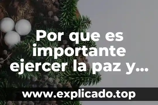 Por que es importante ejercer la paz y convivencia