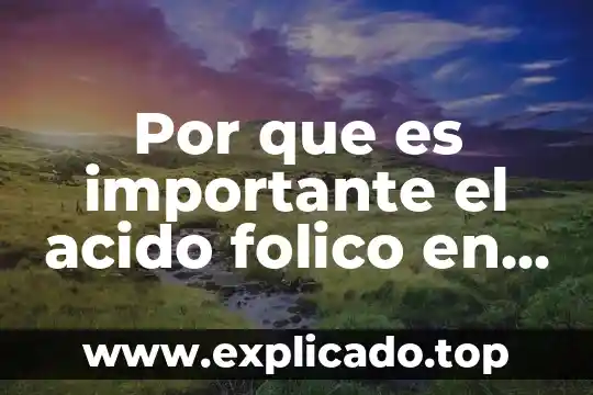 Qué es el ácido nucleico artículo 5 Por que es importante el acido folico en las embarazadas
