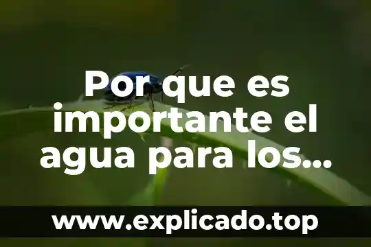 Por que es importante el agua para los coliformes