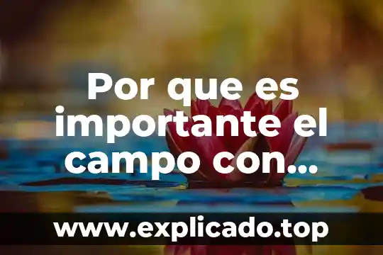 Por qué es importante que los pandas coman bambú 8 Por que es importante el campo con autor