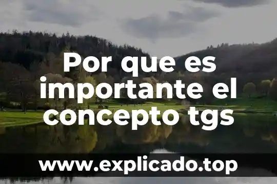 Por que es importante el concepto tgs