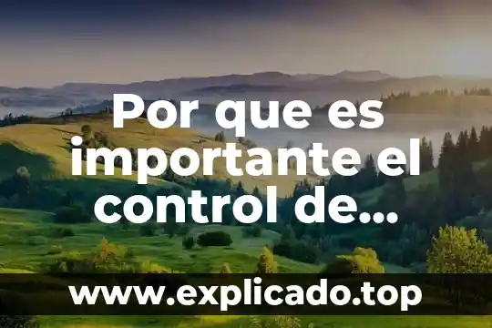 Que es la gestion de calidad en proyectos 7 Por que es importante el control de calidad