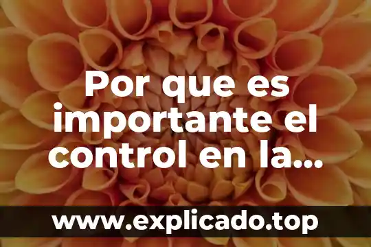 Por que es importante anuel aa 8 Por que es importante el control en la administración