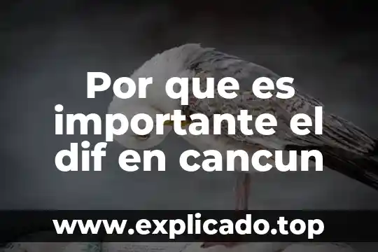 Por que es importante el campo con autor 3 Por que es importante el dif en cancun