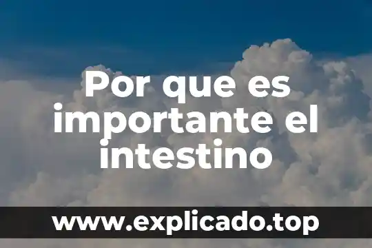 Cuantificación de microorganismos por que es importante 4 Por que es importante el intestino