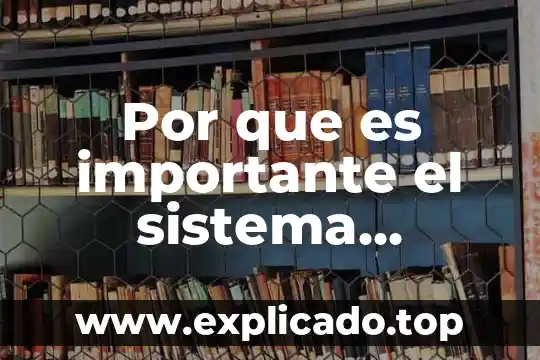 Que es el sistema nervioso dibulos faciles 5 Por que es importante el sistema endocrino y sistema nervioso