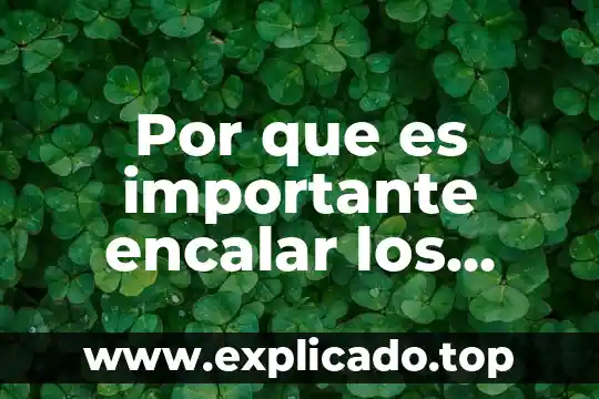 Por que es importante encalar los arboles