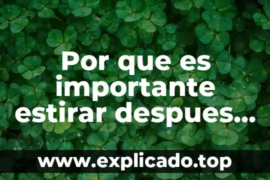 Cuantificación de microorganismos por que es importante 5 Por que es importante estirar despues del ejercicio