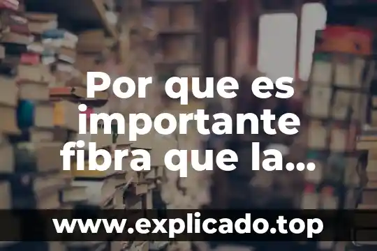 Que es la fibra optica clases caracteristicas 8 Por que es importante fibra que la proteina en rumiantes