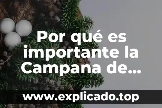 Que es un convenio codigo civil de morelos 6 Por qué es importante la Campana de Morelos
