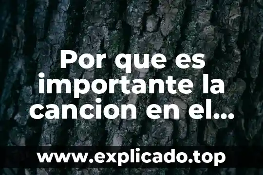 Que es bomba del genero lirico 6 Por que es importante la cancion en el genero lirico
