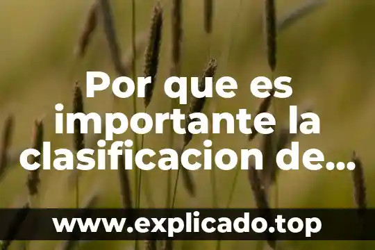 Que es diagrama de areas de empresa 7 Por que es importante la clasificacion de areas