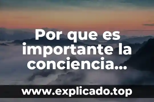 Que es una cavidad en medicina 4 Por que es importante la conciencia fonologica