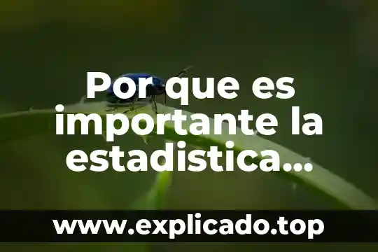 Por que es importante la estadistica para la pedagogia conclusion
