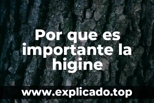 Por que es importante la higine