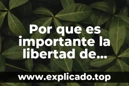 Por que es importante la libertad de catedra