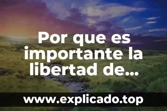 Por que es importante la libertad de trabajo