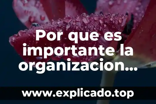 Por que es importante la organizacion ydistribucion de trabajo colavorativo