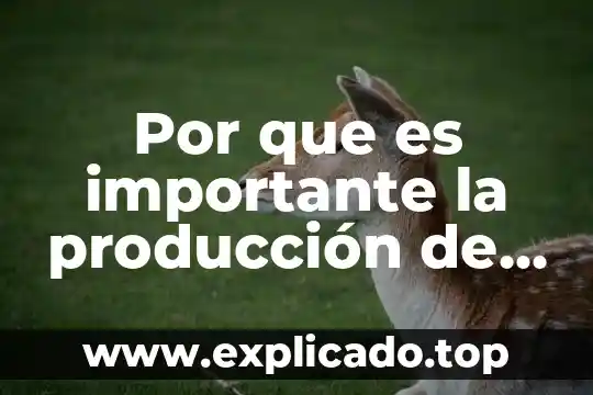 Que es indicadores de crecimiento y producción 4 Por que es importante la producción de estos minerales