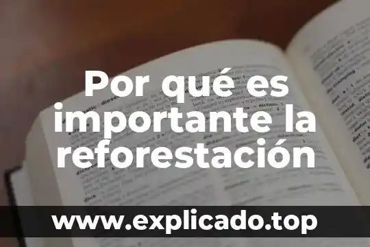 Por que es importante navegar de manera segura en internet 7 Por qué es importante la reforestación