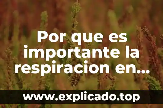 Que es terapia de choque en un niño 7 Por que es importante la respiracion en terapia fisica