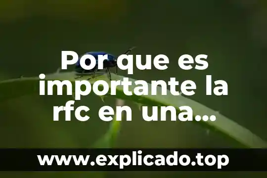 Qué es infraestructura de TI y significado de sus siglas 7 Por que es importante la rfc en una empresa