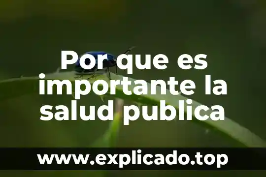 Por que es importante navegar de manera segura en internet 8 Por que es importante la salud publica