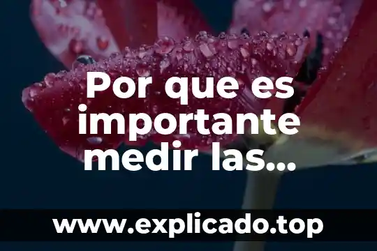 Que es el agua y sus propiedades fisicas ejemplos 7 Por que es importante medir las propiedades de una sustancia