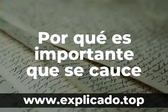 Que es wir en un plano 3 Por qué es importante que se cauce