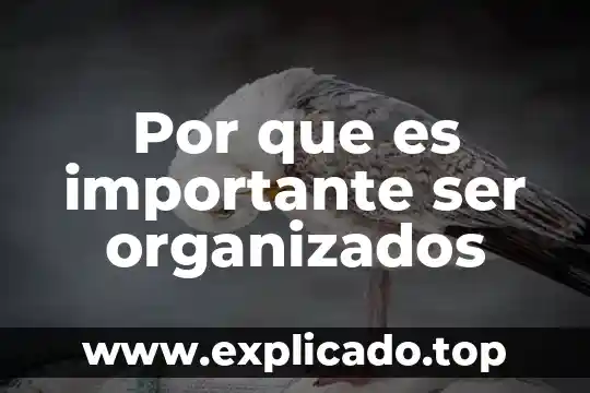 Qué es lo más importante de la caída de Tenochtitlan 3 Por que es importante ser organizados