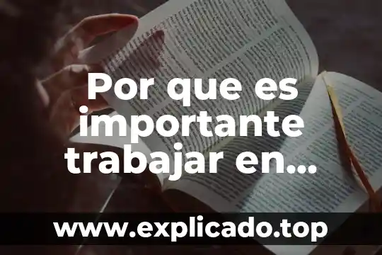 Qué es plan maestro de producción 5 Por que es importante trabajar en grupo para un maestro